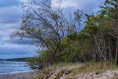 北安普顿中场压制力足，眼镜蛇阵容抢分在即，北安普顿三杰