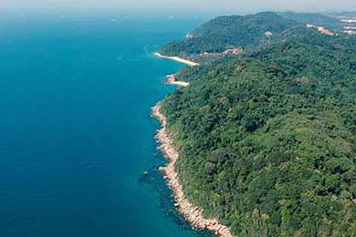 李钦诚在“湾区杯”象棋大棋士赛中表现抢眼